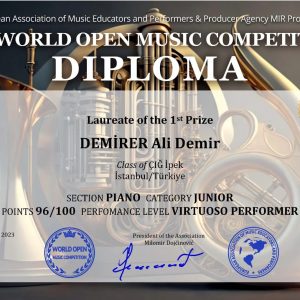 Erse Okulları Öğrencisi Ali Demir Demirer, World Open Online Müzik Yarışması’nda Birinci Oldu!
