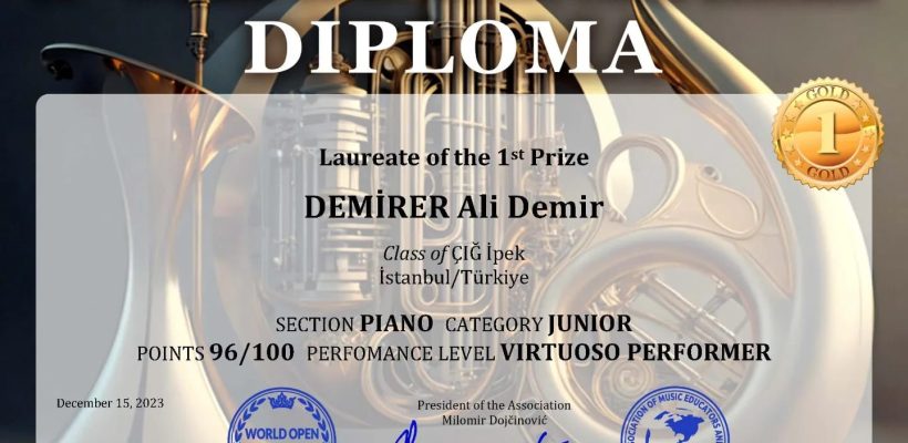 Erse Okulları Öğrencisi Ali Demir Demirer, World Open Online Müzik Yarışması’nda Birinci Oldu!